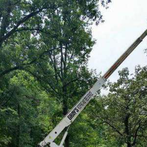 equipmentcrane-1