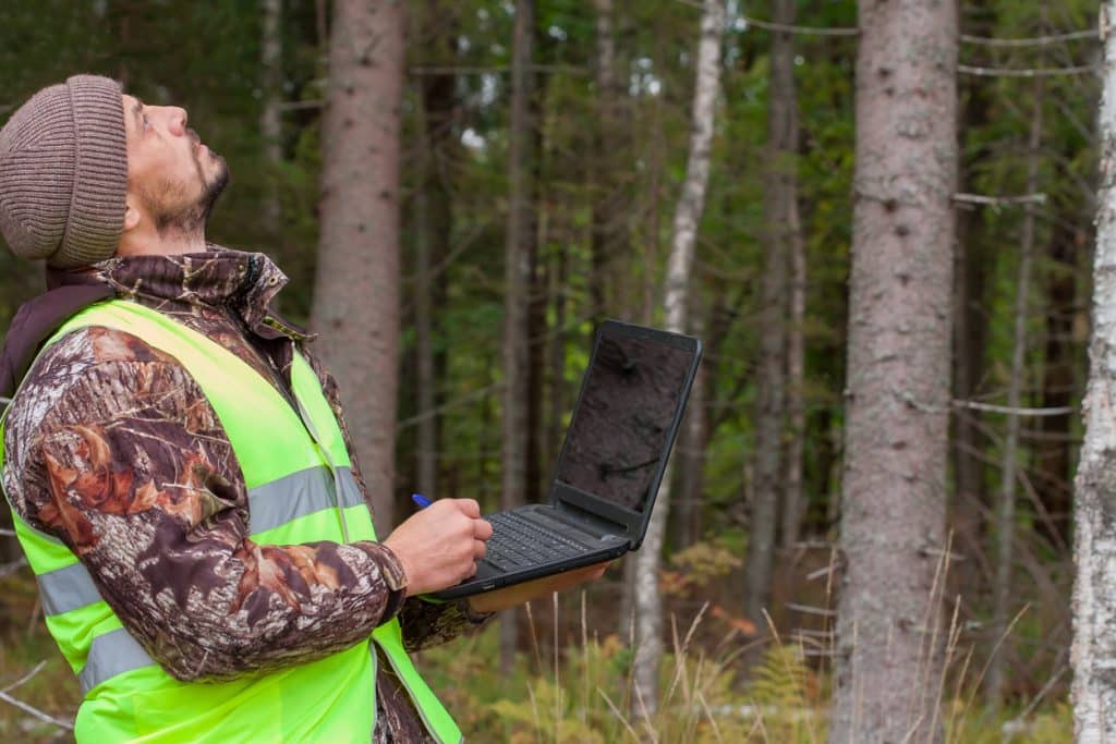 Ecologist works with a computer