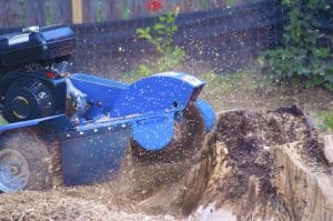 Stump Grinder at Work