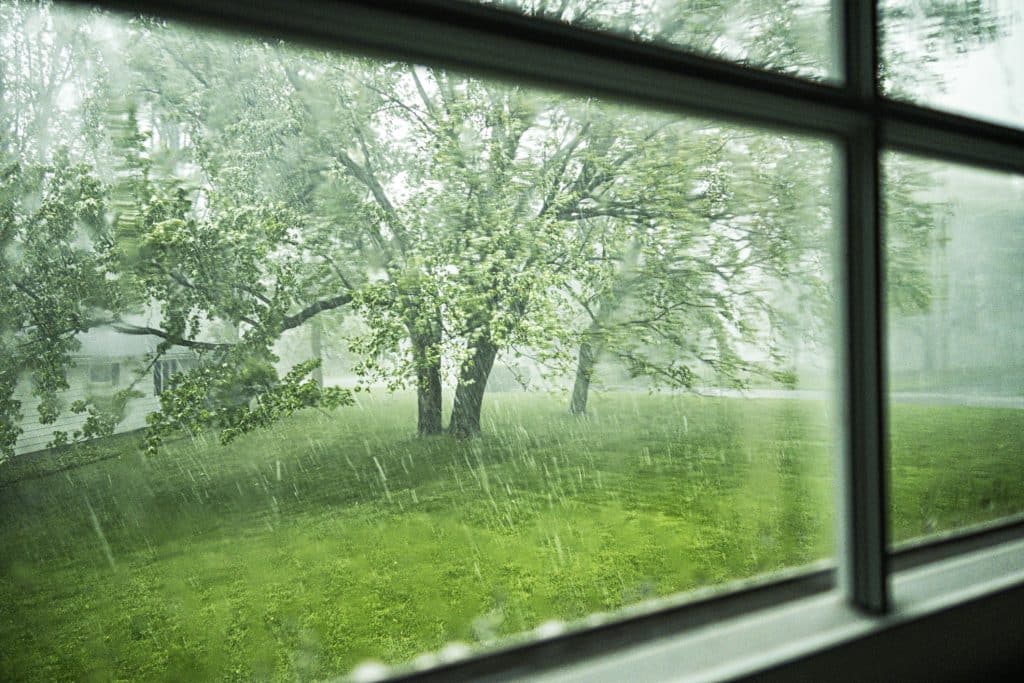 tree in storm alabama