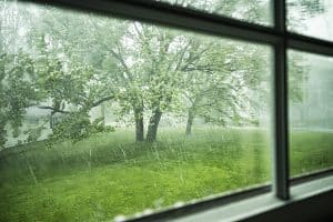 tree in storm alabama